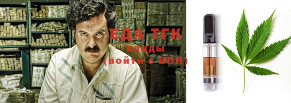 хмурый Алексин