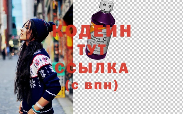 хмурый Алексин