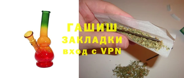 хмурый Алексин