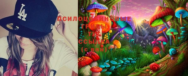 хмурый Алексин