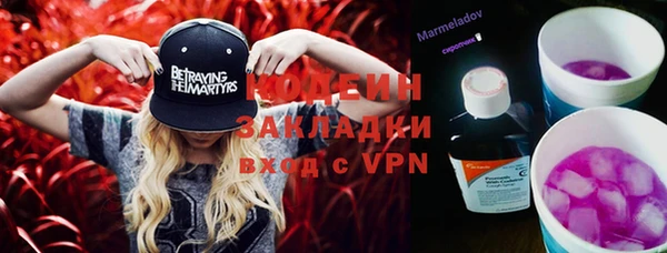 хмурый Алексин