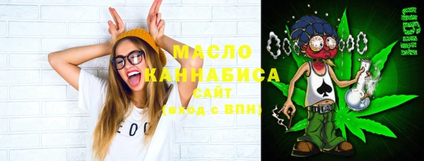 хмурый Алексин